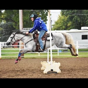 Meet your Posher, Calli